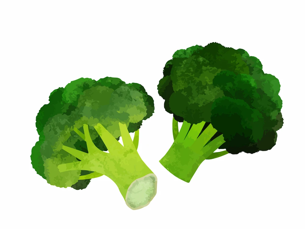 broccoli