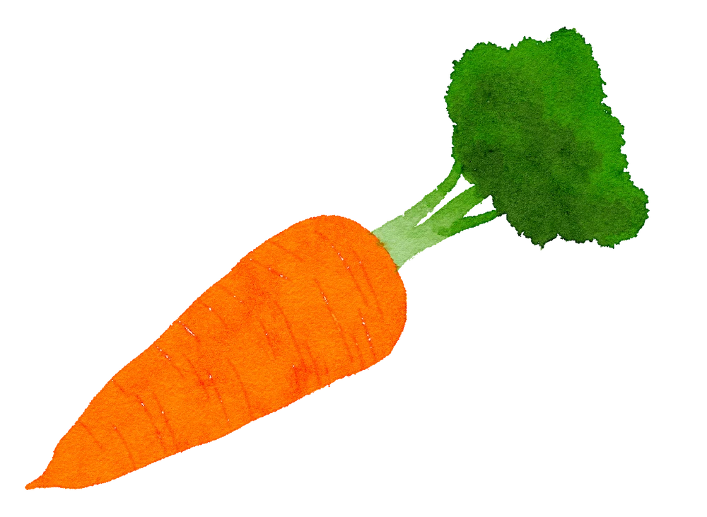 carrot