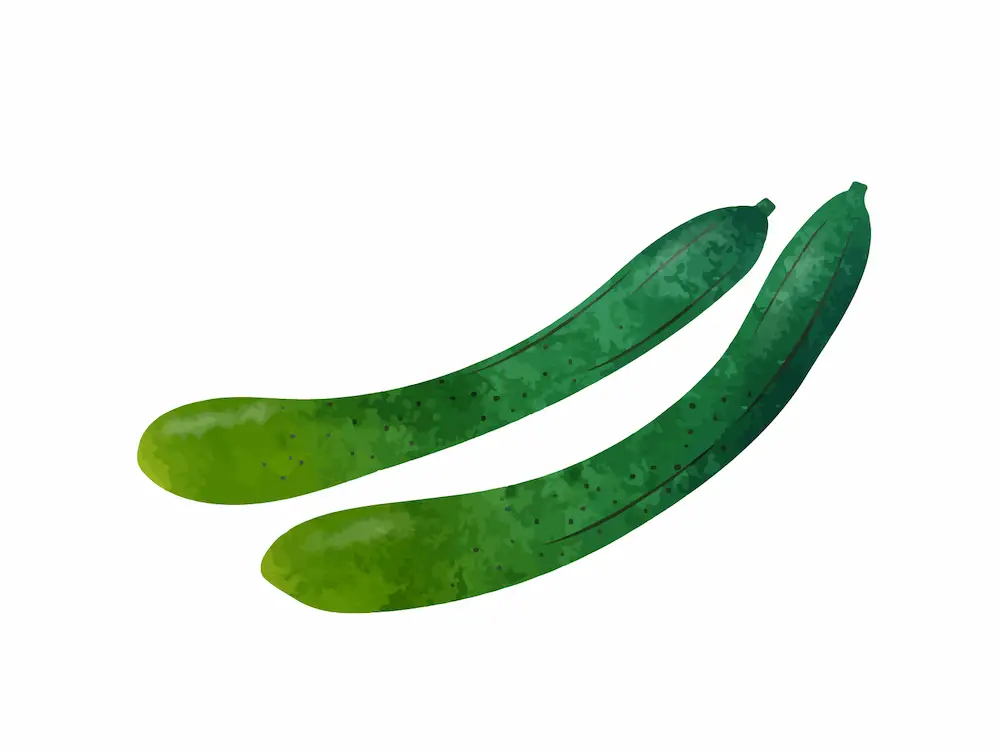 cucumber