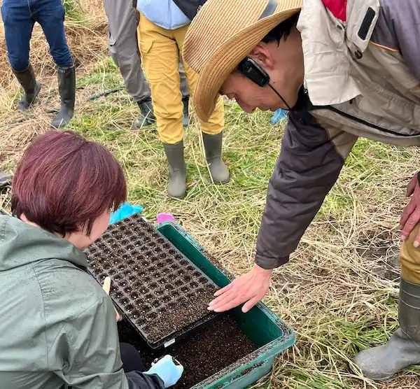 小玉スイカ苗づくり