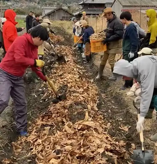 ウネ立て体験会