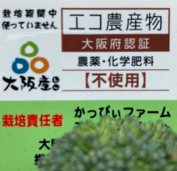 菌ちゃんウネ立て体験会